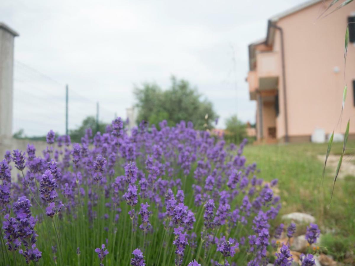 Apartment Lavandula ラビン エクステリア 写真